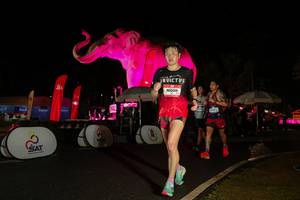 BIB: 
                            <button type="button" onclick="openModal(26535259)" class="btn btn-primary btn-sm float-right btn-popup" data-toggle="modal" data-target=".modal-high-quality">
                        <i class="fas fa-shopping-cart"></i> Add to Cart
                    </button>
                                            <button type="button" onclick="isThisMe(26535259, true)" class="btn btn-success btn-sm float-right btn-popup btn-isme hidden" data-toggle="tooltip" data-placement="bottom" title="นี่คือรูปของคุณใช่ไหม คลิกที่นี่เพื่อเอาเข้าอัลบั้ม">
                        <i class="fas fa-plus"></i> Add to album
                    </button>
                    <button type="button" onclick="isThisMe(26535259, false)" class="btn btn-warning btn-sm float-right btn-popup btn-isnotme hidden">
                        <i class="fas fa-ban"></i> Remove from album
                    </button>